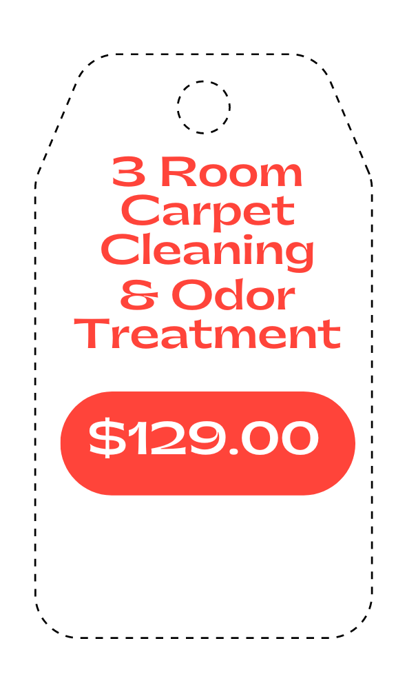 Carpet Cleaning